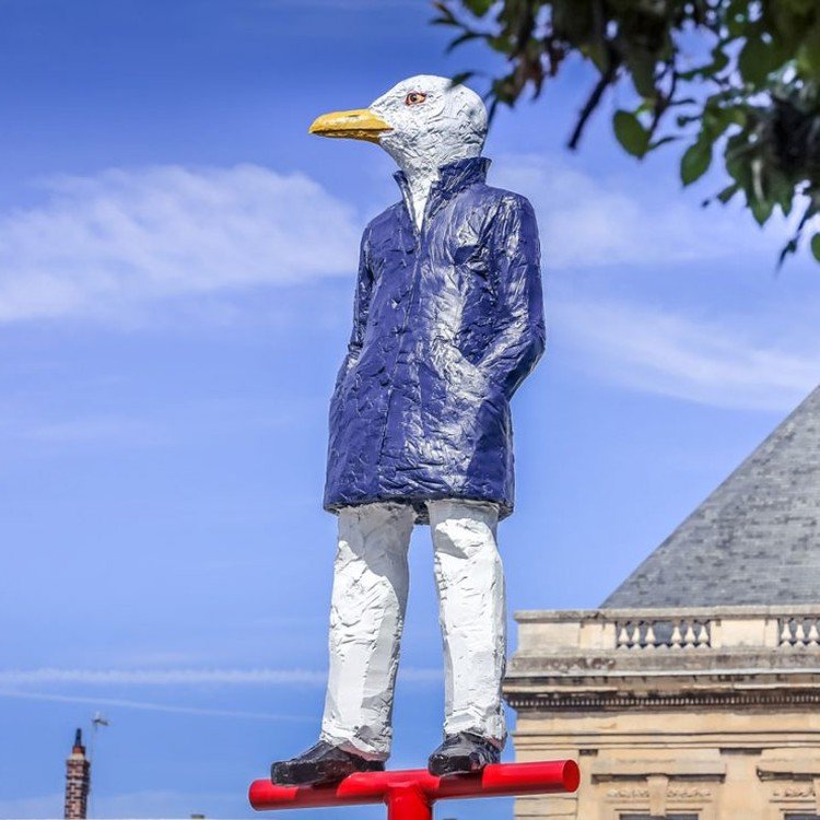 Monsieur Goëland Фото Гавра - Monsieur Goëland - 03