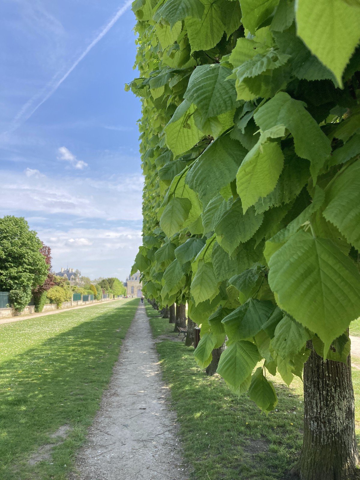 Вид на Гранд Конюшни Вид на Гранд Конюшни