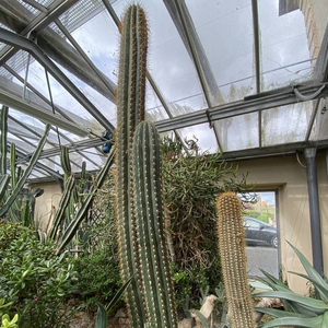 Jardin Public de Bayeux