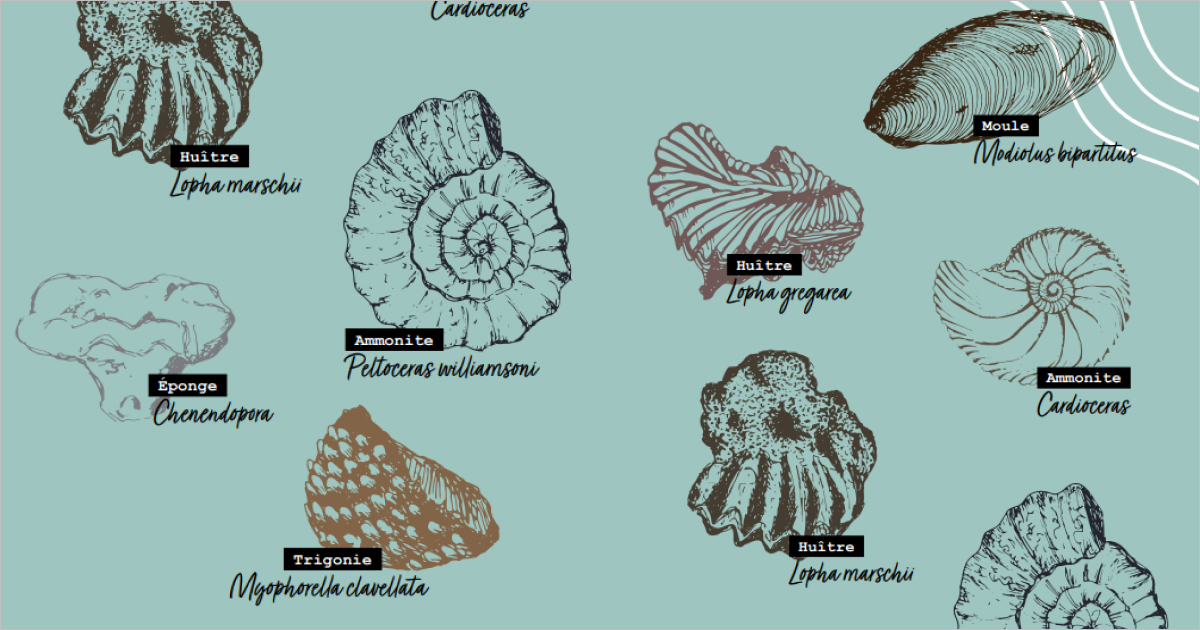 Falaises des Vaches Noires