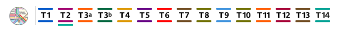Цвета линий Парижского трамвая