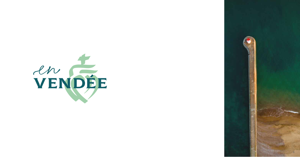 Логотип Вандея