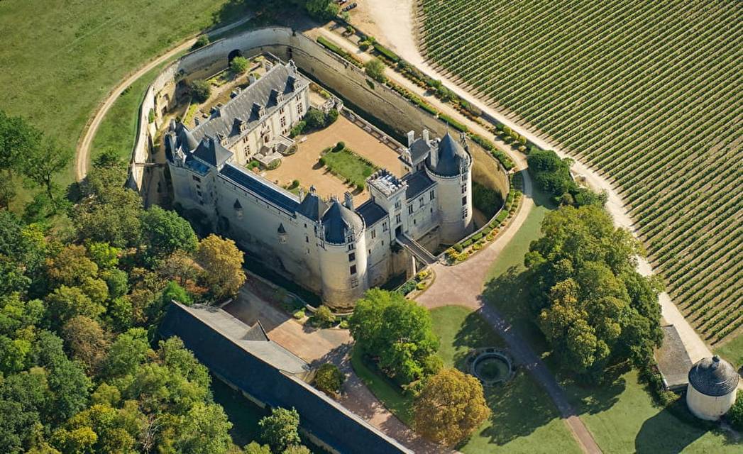 Château de Brézé - вид сверху