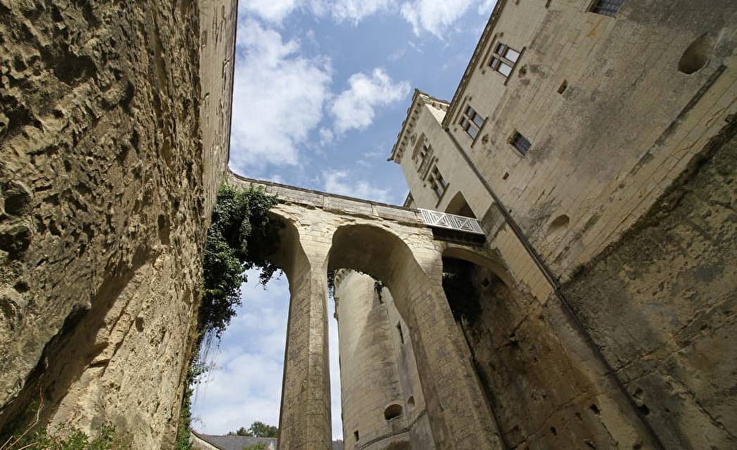 Château de Brézé - ров и вид на мост