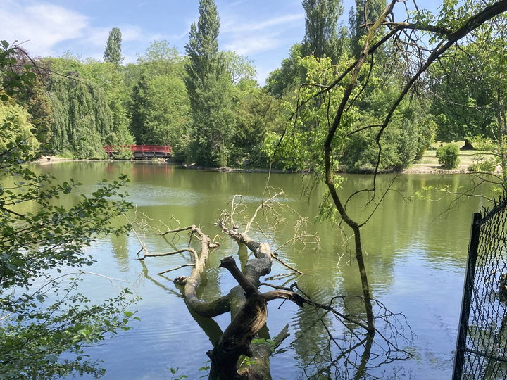 Parc Edmond de Rothschild - 01