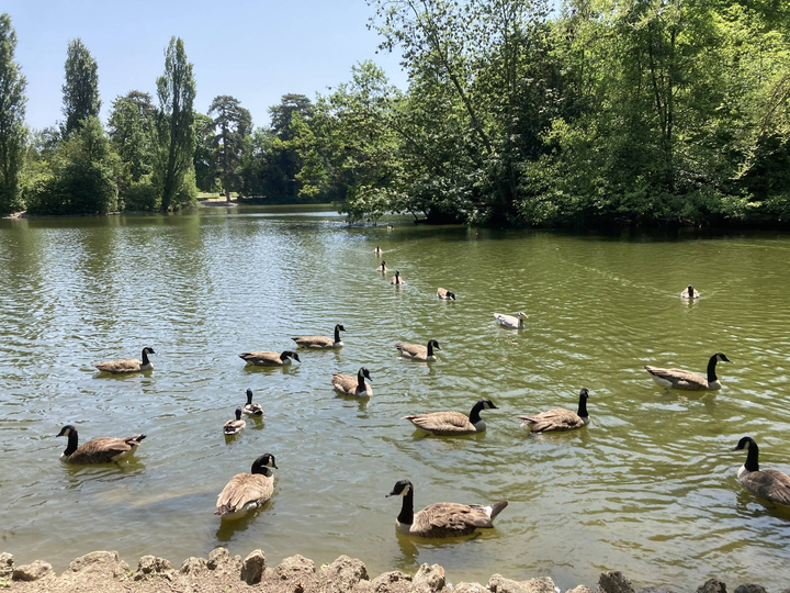 Parc Edmond de Rothschild - 04