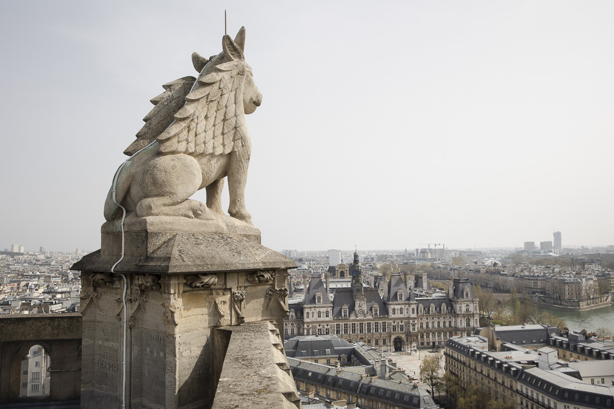 Вид на Париж с крыши башни Saint-Jacques