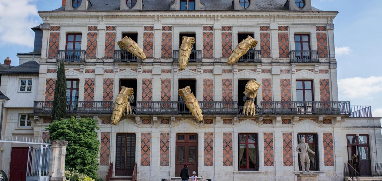 Maison de la magie - Драконы дома магии